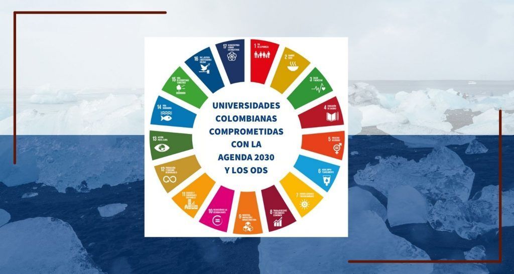 Newsletter académica 5