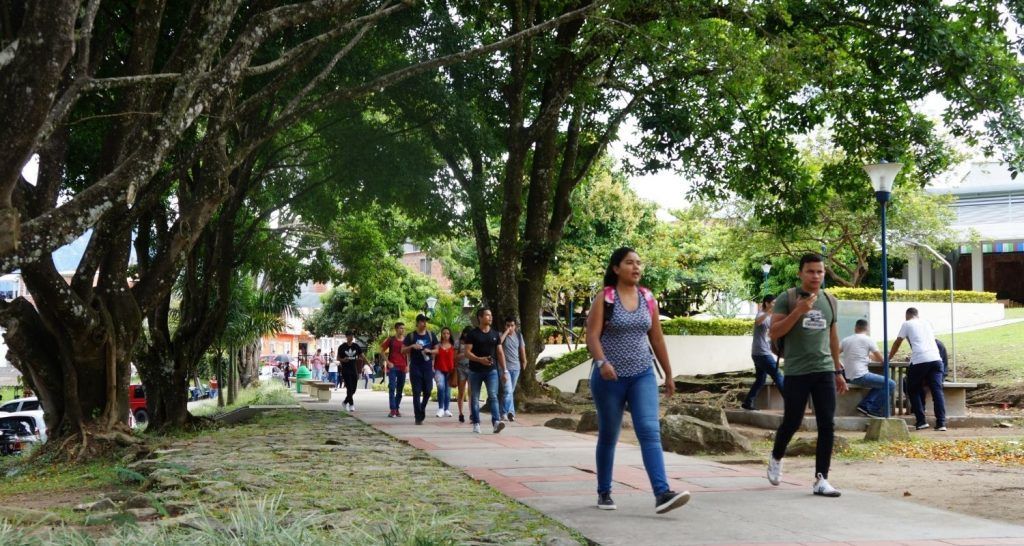 Unibagué recibe nueva reacreditación de alta calidad en Contaduría Pública