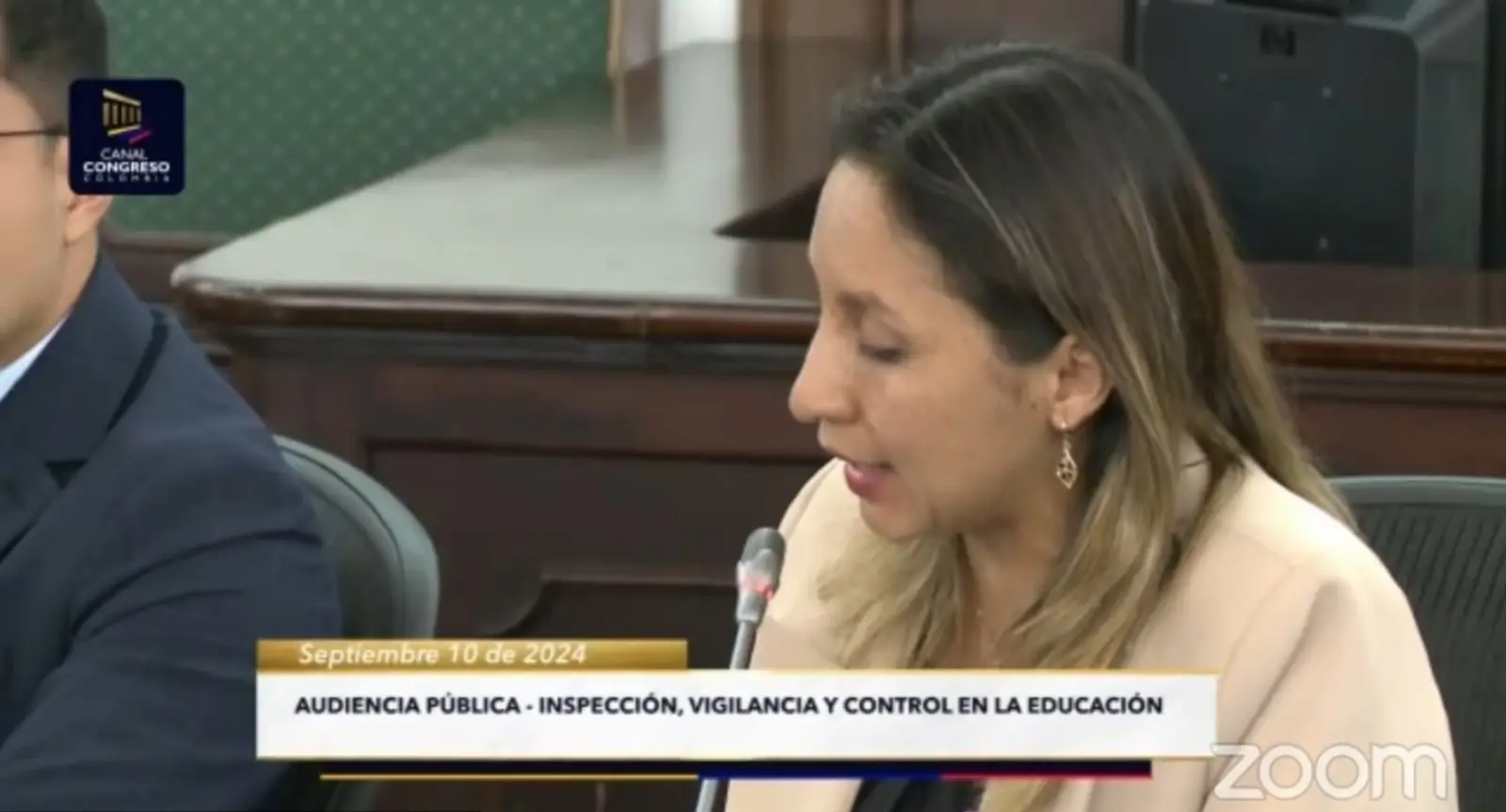 IES y congreso PL 08 de 2024