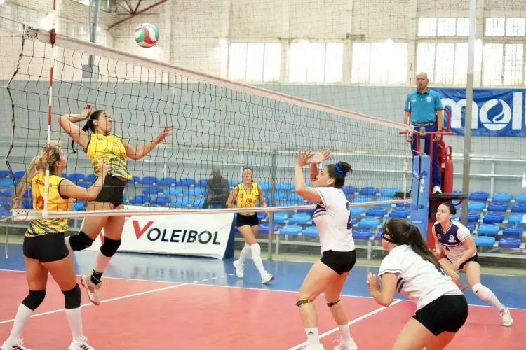 Cali vibra con las finales de voleibol, futsal y taekwondo 2
